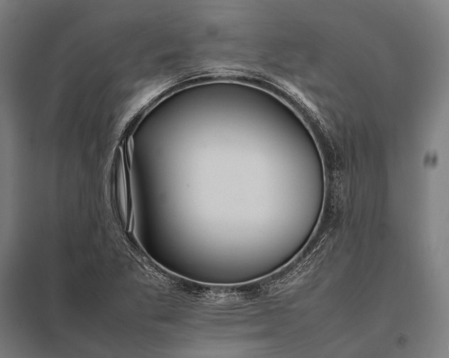 X0000097861269200803281304