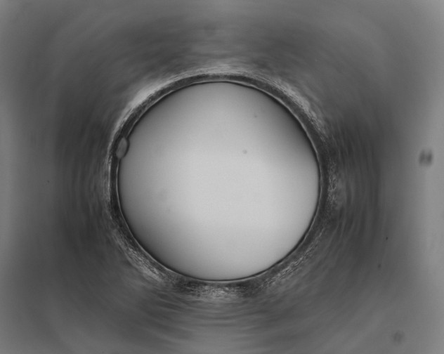 X0000097861270200803281304