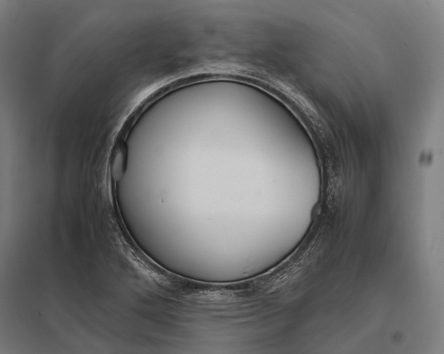 X0000097861272200803281304