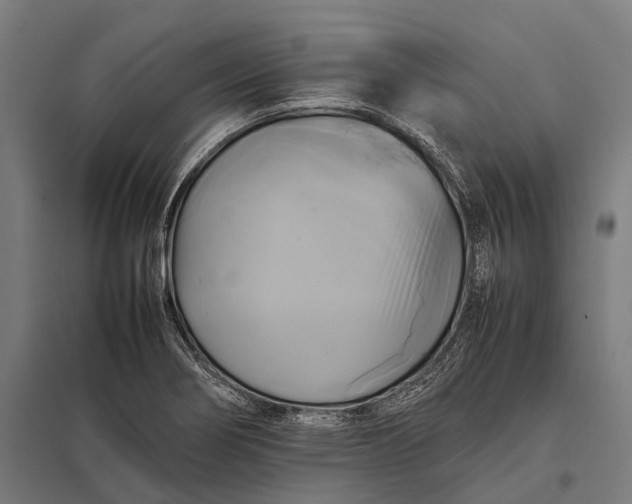 X0000097861274200803281304