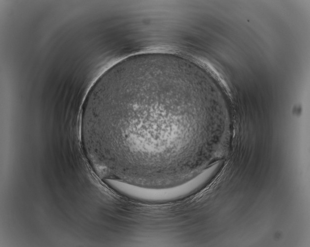 X0000097861276200803281304