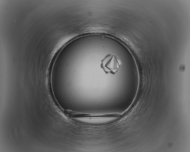 X0000097861277200803281304