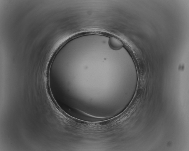 X0000097861279200803281304