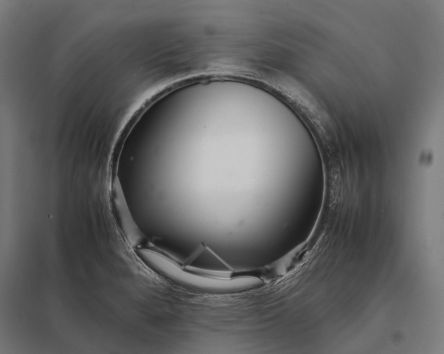 X0000097861280200803281303