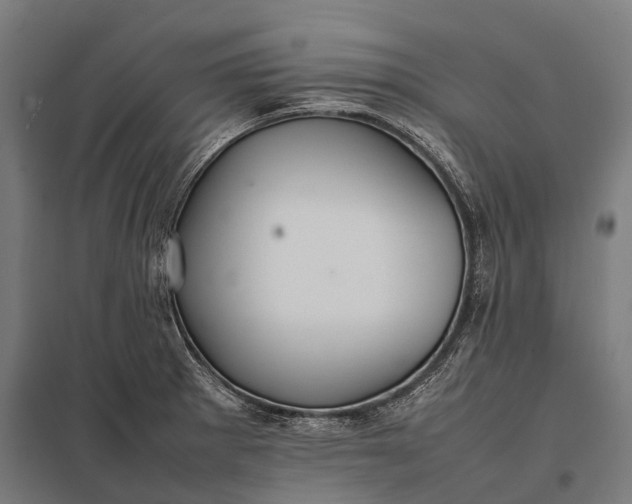 X0000097861281200803281303