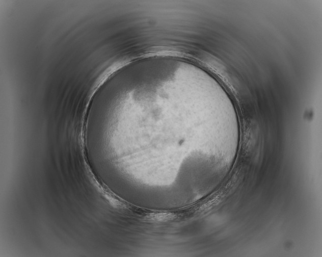 X0000097861282200803281303