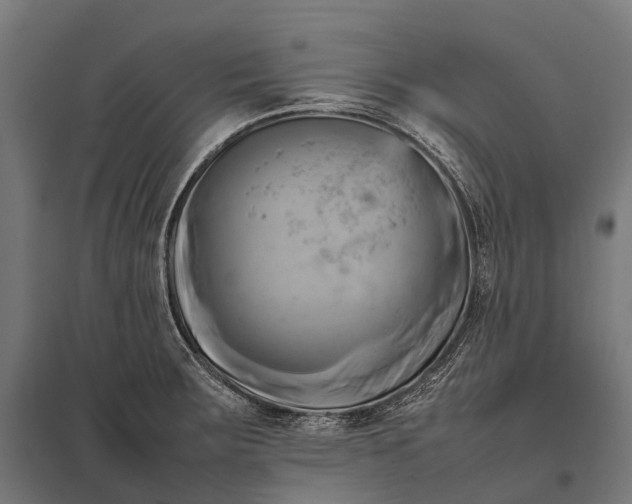 X0000097861283200803281303