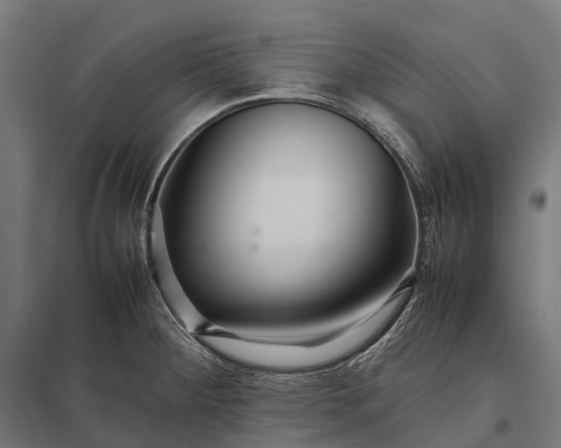 X0000097861284200803281303