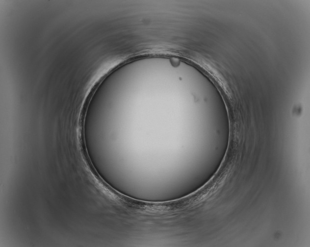 X0000097861285200803281303