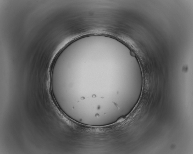 X0000097861286200803281303