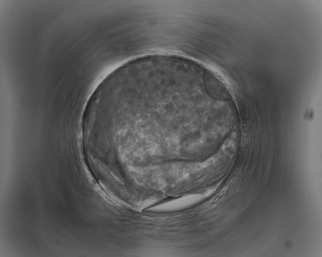 X0000097861287200803281303