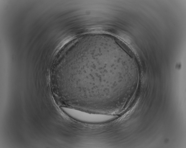 X0000097861289200803281303