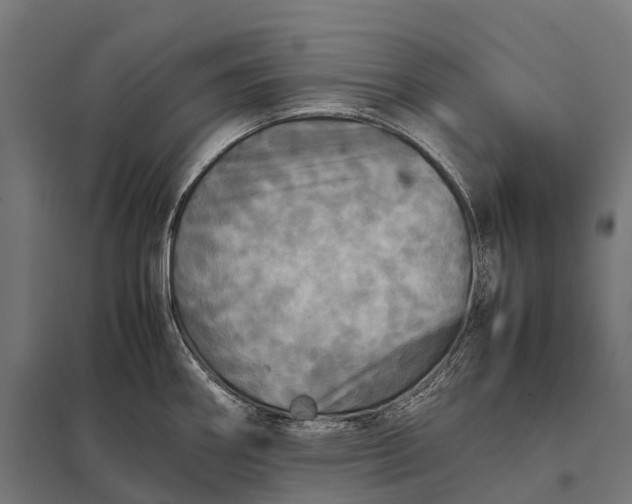 X0000097861290200803281303