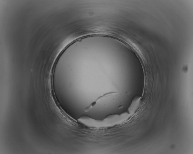 X0000097861291200803281303