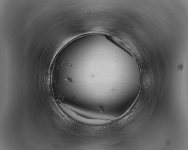 X0000097861292200803281303