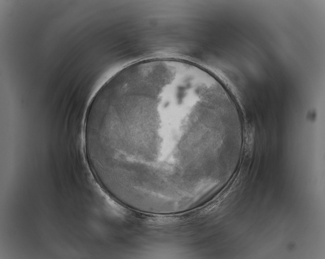 X0000097861294200803281303