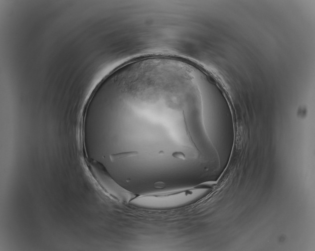 X0000097861295200803281303