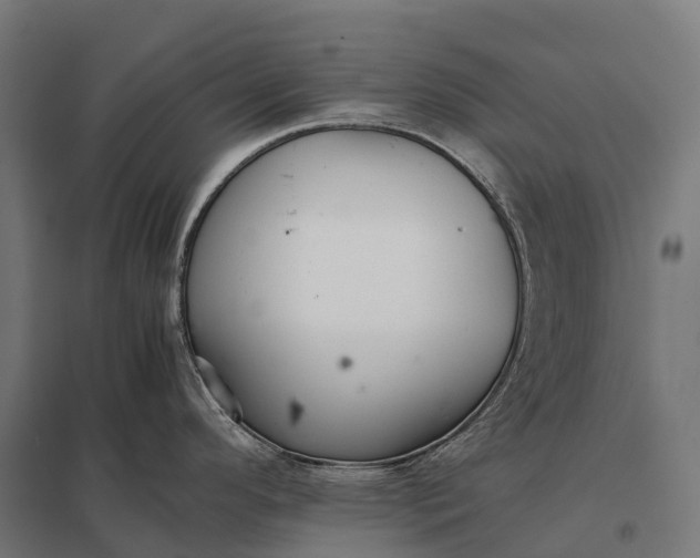 X0000097861296200803281303