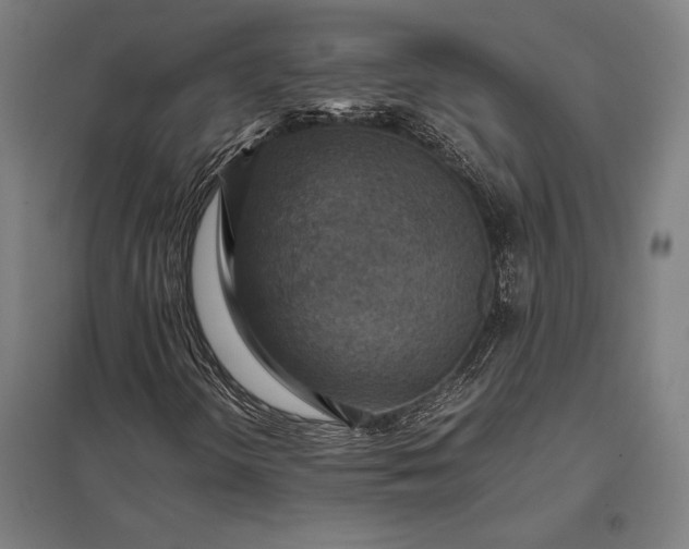 X0000097861298200803281303