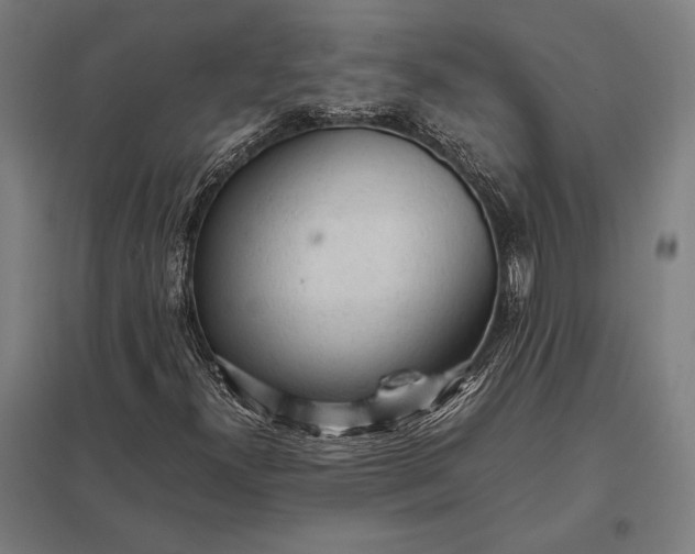 X0000097861300200803281303