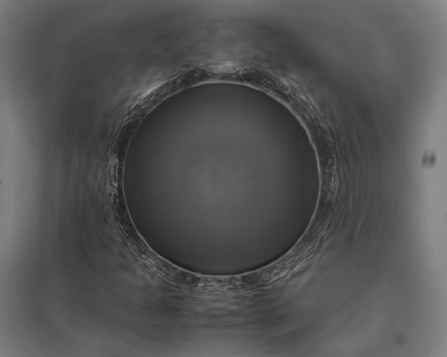 X0000097861301200803281303