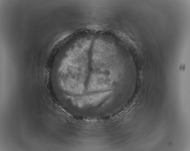 X0000097861302200803281303