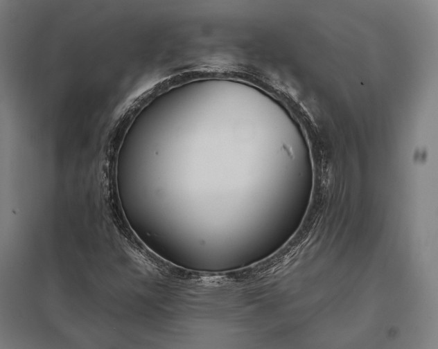 X0000097861304200803281303