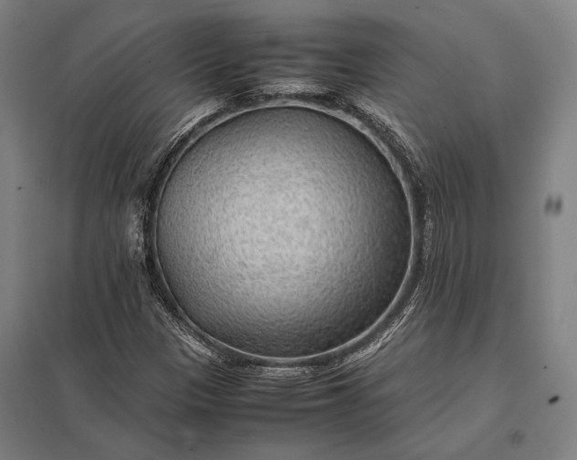 X0000097861305200803281303