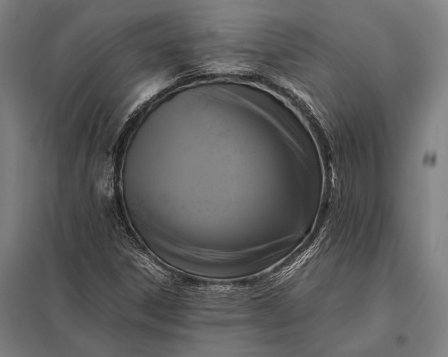 X0000097861306200803281303