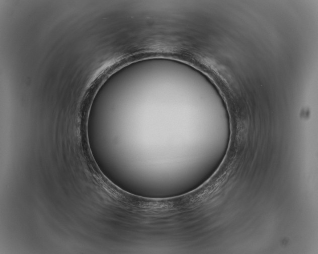 X0000097861307200803281303