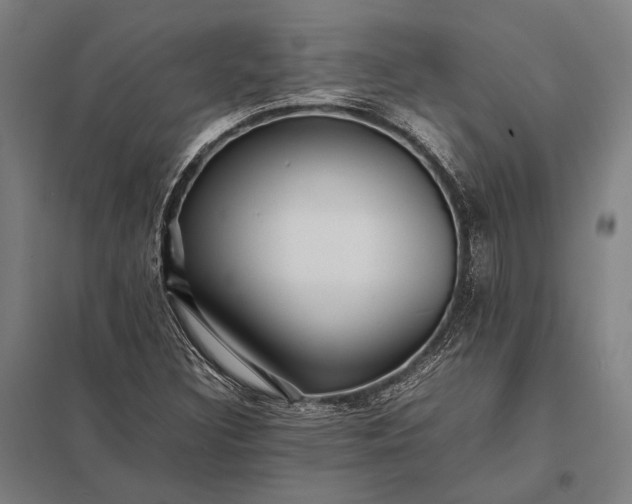 X0000097861308200803281303