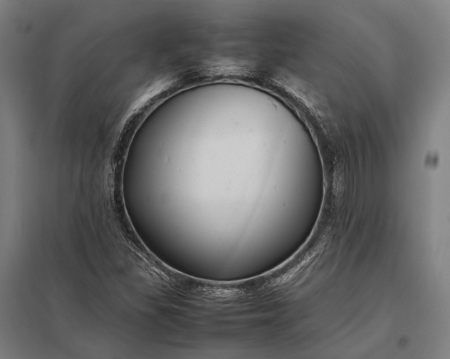 X0000097861309200803281303