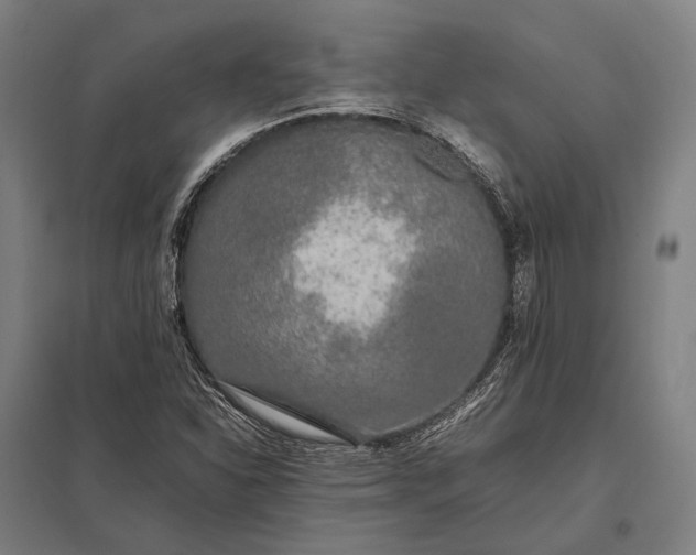 X0000097861310200803281303