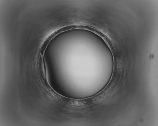 X0000097861311200803281303