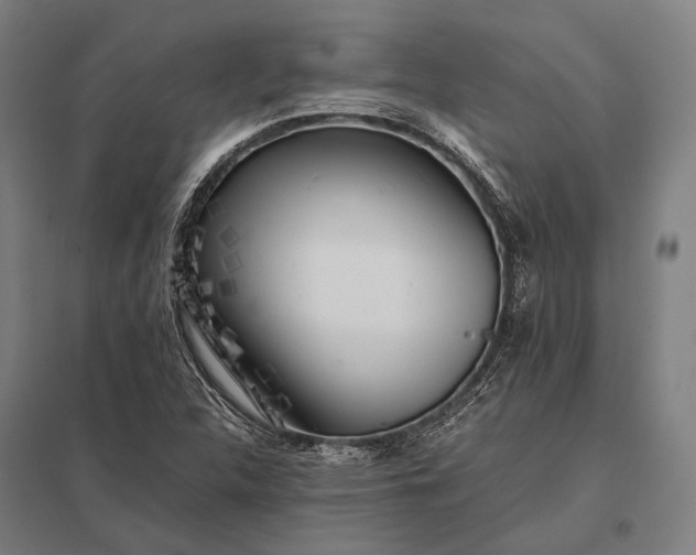 X0000097861312200803281303