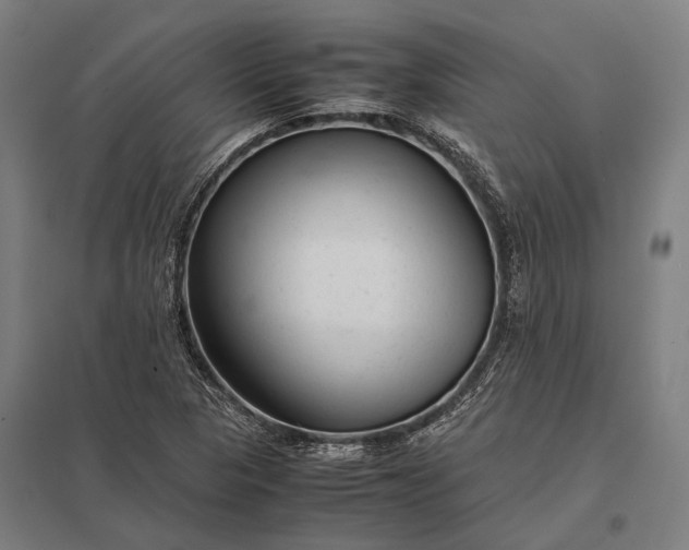 X0000097861313200803281303