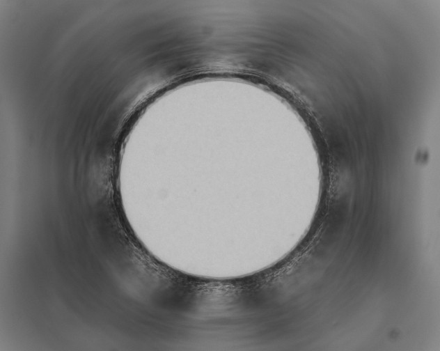 X0000097861314200803281303