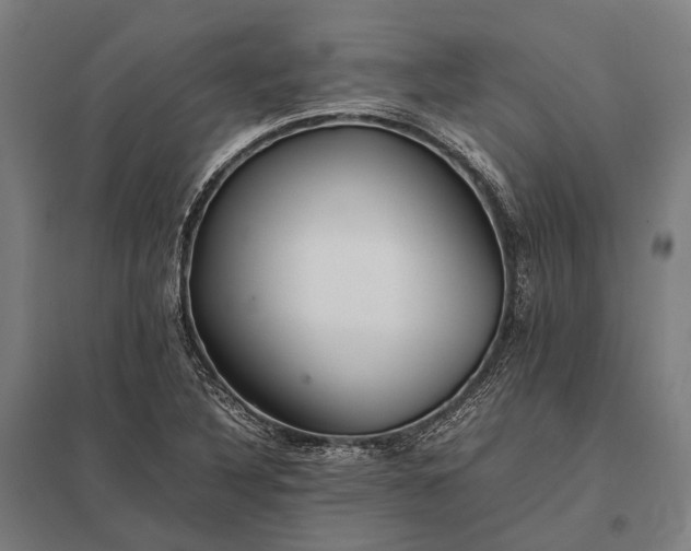 X0000097861316200803281303