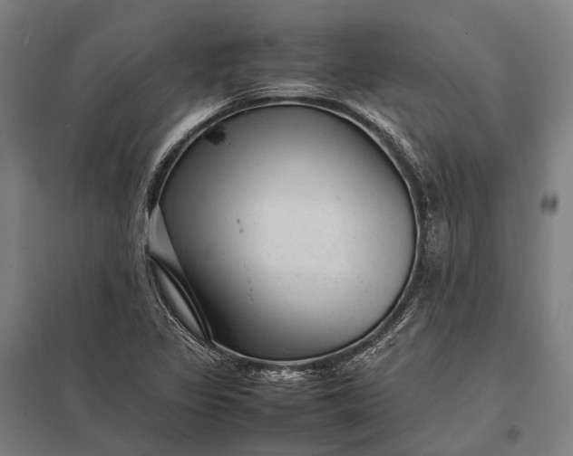 X0000097861317200803281303