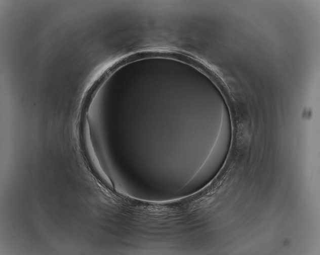 X0000097861319200803281303