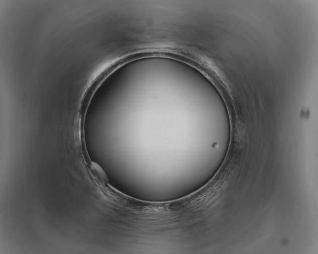 X0000097861320200803281303