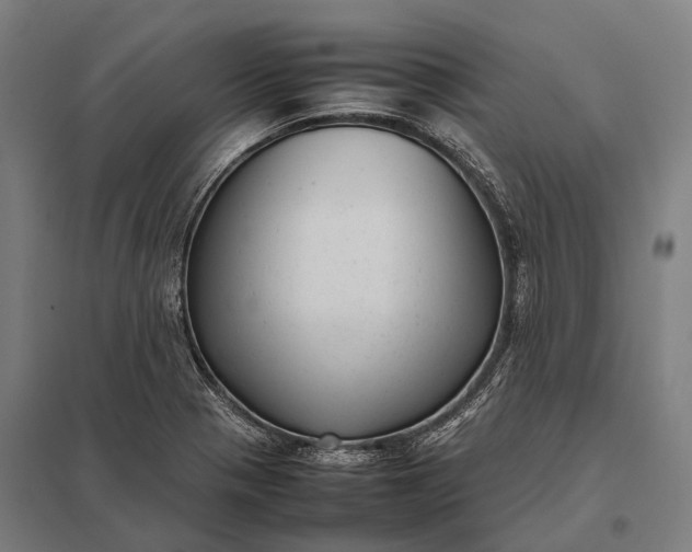 X0000097861321200803281303