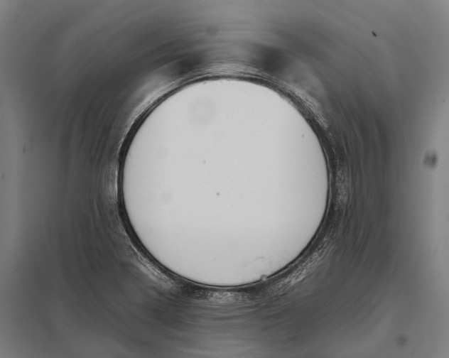 X0000097861322200803281303