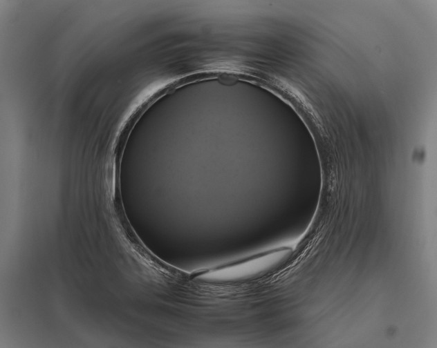 X0000097861323200803281303