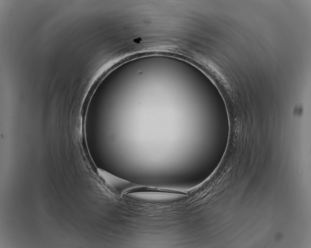 X0000097861324200803281303