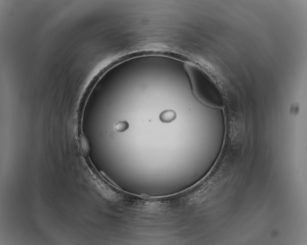 X0000097861326200803281303