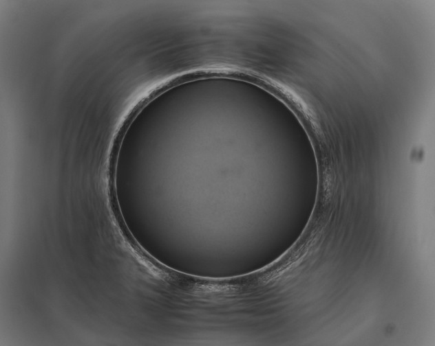 X0000097861327200803281303