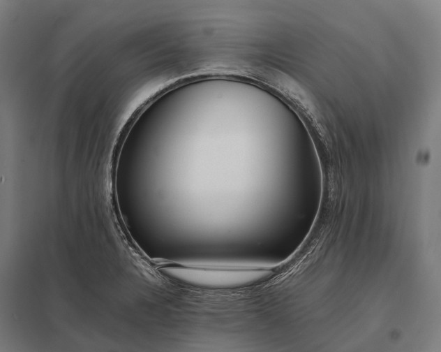 X0000097861328200803281303