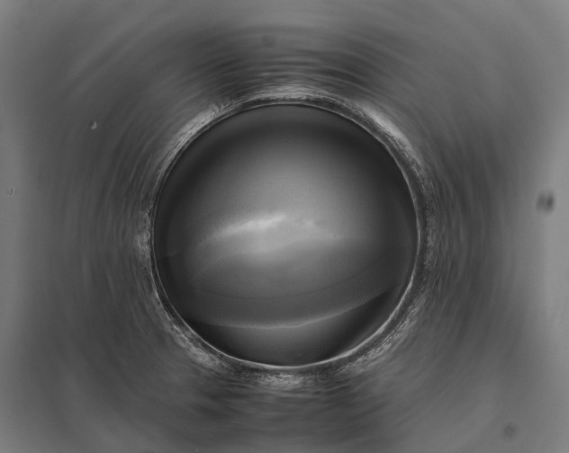 X0000097861329200803281303