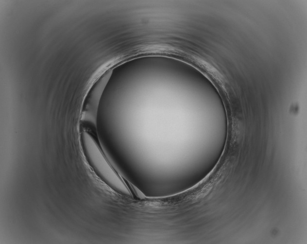 X0000097861330200803281303